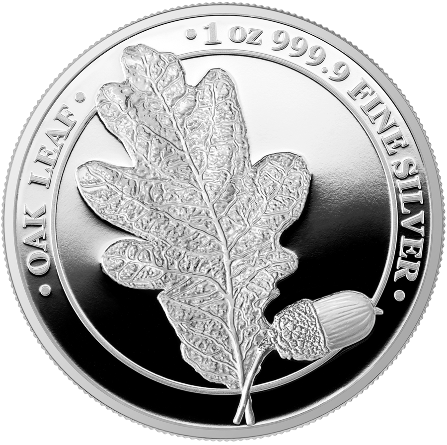 Germania 2019 5 Mark Oak Leaf 12 months Series-November 1 Oz Silver Coin 