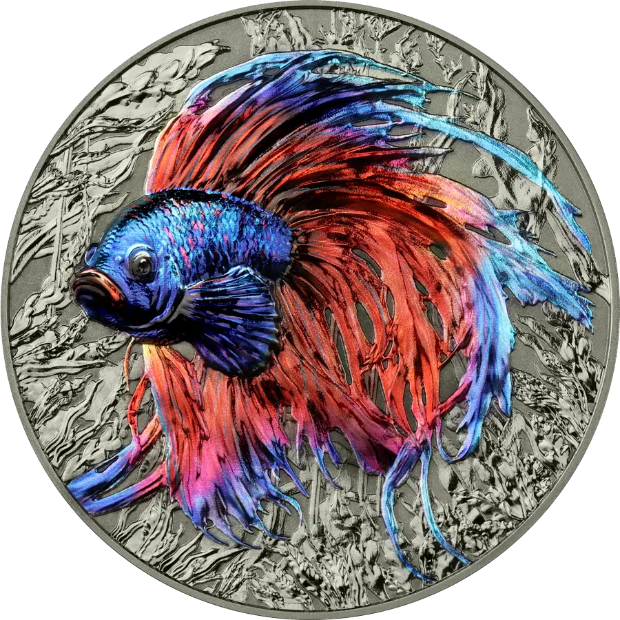 Representatives of the Species: Niue Island 2024 – Betta Fish 2 oz Silver HR obverse