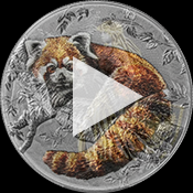 Play video